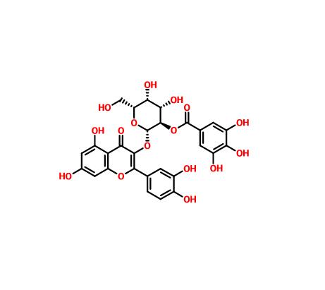 2”-O-没食子酰基金丝桃苷|53209-27-1