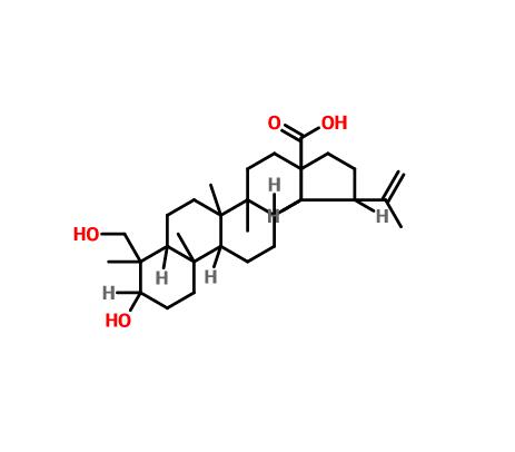 23-羟基白桦酸|85999-40-2