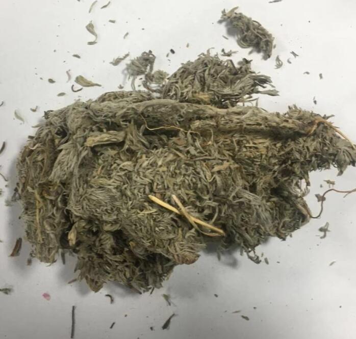 茵陈 ARTEMISIAE SCOPARIAE HERBA