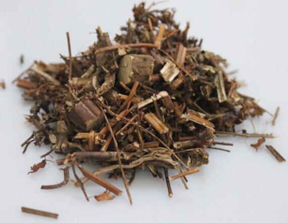 鹿衔草 Pyrolae Herba