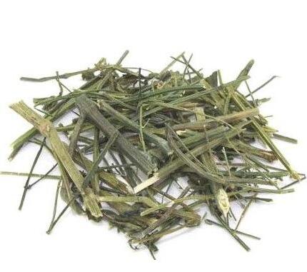穿心莲 ANDROGRAPHIS HERBA