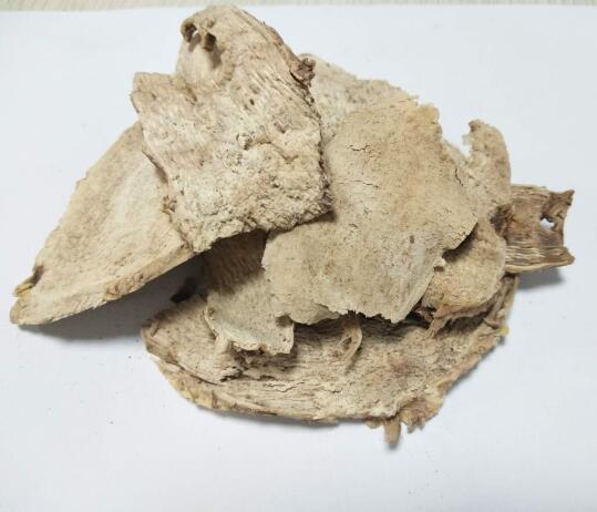 芦竹根 Rhizome of Giantreed