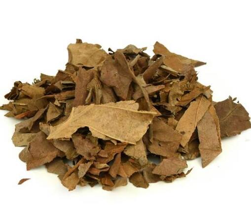 柿叶 KAKI FOLIUM