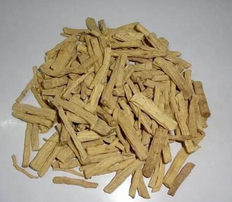 明党参 CHANGII RADIX