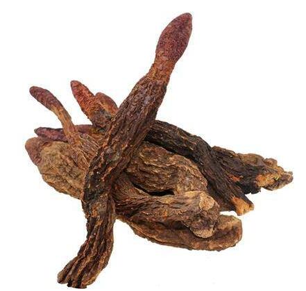 锁阳 Herba Cynomorii