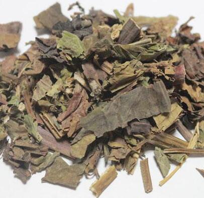 石见穿 HERBA SALVIAE CHINENSIS