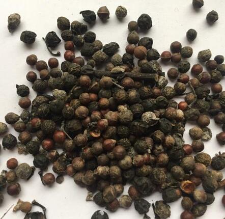 荜澄茄 LITSEAE FRUCTUS