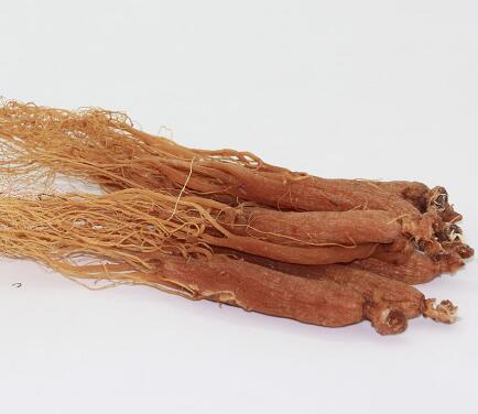 红参 GINSENG RADIX ET RHIZOMA RUBRA