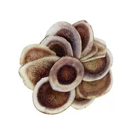 鹿茸（马鹿） Cervi Cornu Pantotrichum