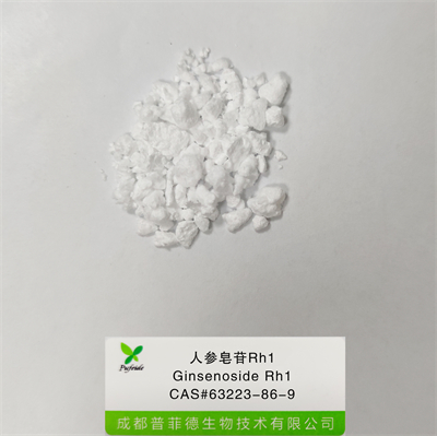 人参皂苷Rh1|63223-86-9