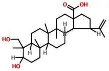 普菲德专题产品推荐-白头翁系列(图2)