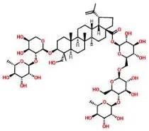 普菲德专题产品推荐-白头翁系列(图4)