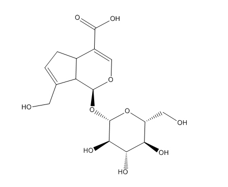 京尼平苷酸.png