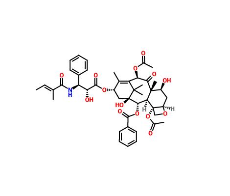 三尖杉宁碱 71610-00-9 Cephalomannine