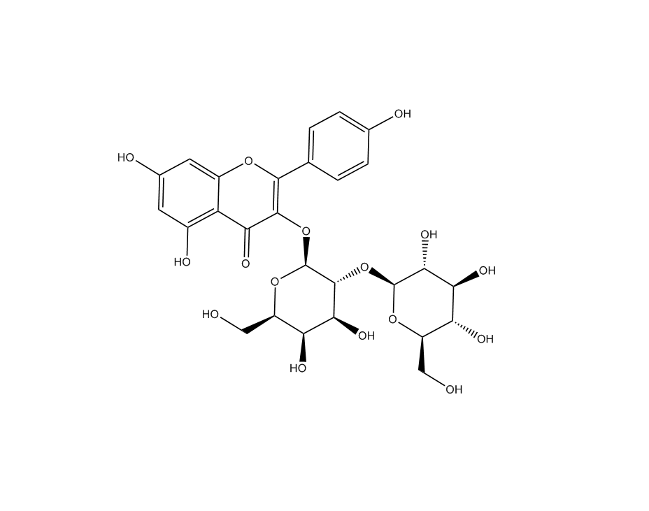 人参黄酮苷|31512-06-8