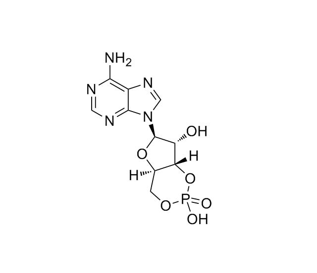 环磷腺苷|60-92-4