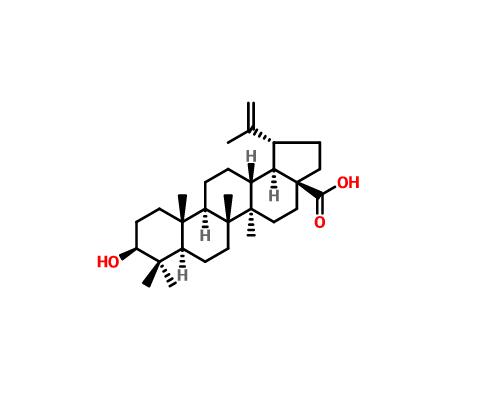 白桦脂酸 472-15-1 Betulinic acid