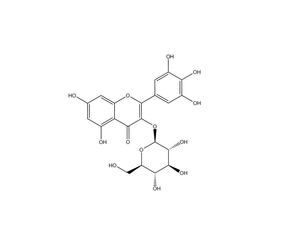 杨梅素-3-O-葡萄糖苷|19833-12-6