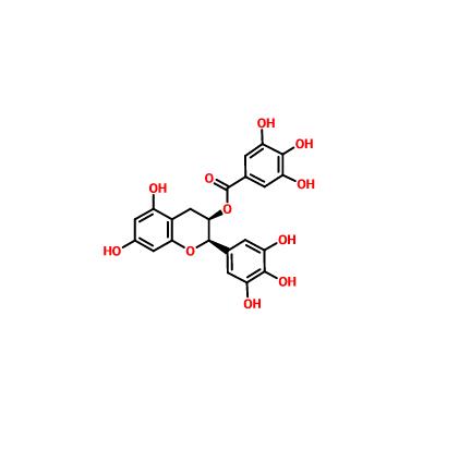 表没食子儿茶素没食子酸酯 989-51-5 EGCG