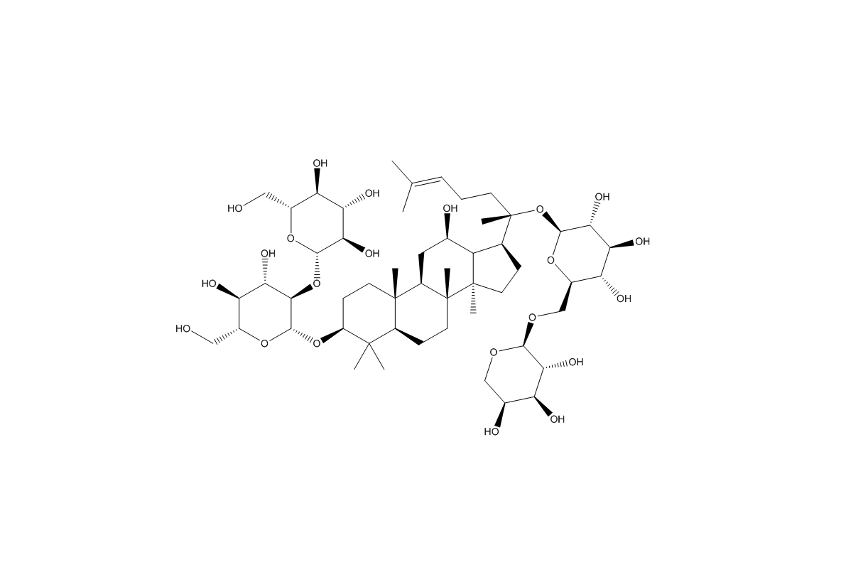 人参皂苷Rb2|11021-13-9