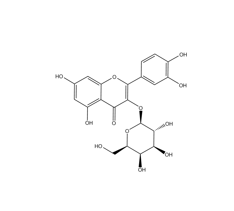 金丝桃苷|482-36-0 Hyperoside
