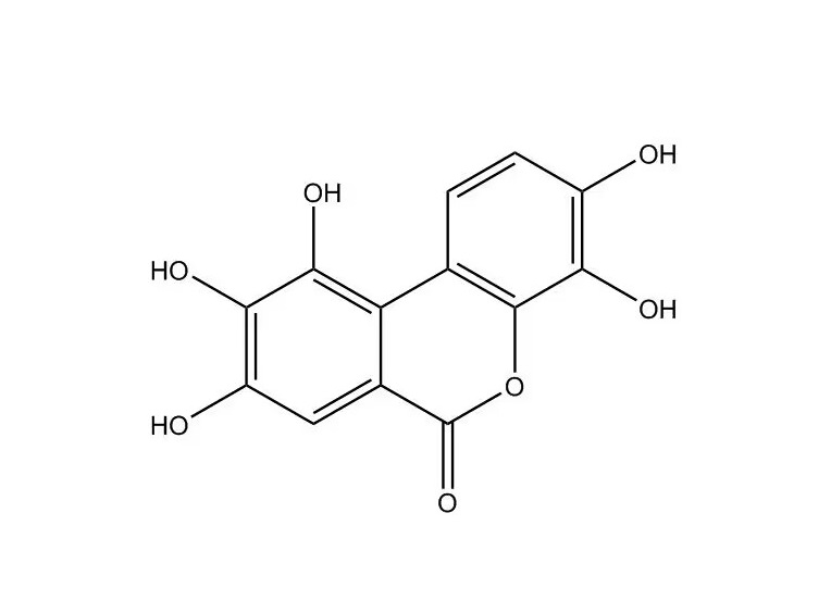 尿石素M5|91485-02-8