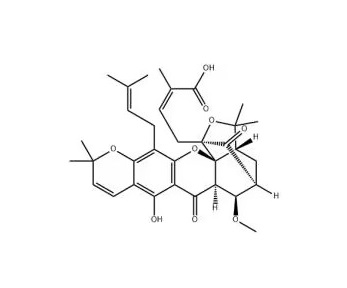 Isomoreollic acid|1240792-57-7