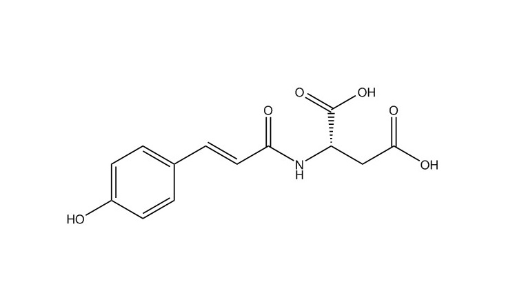 N-Coumaroyl-L-aspartic acid|151435-24-4