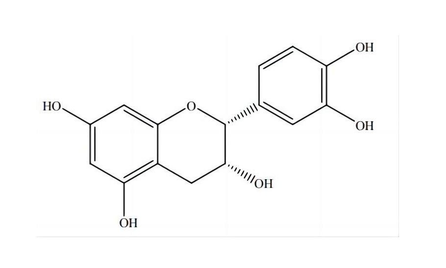 表儿茶素|490-46-0