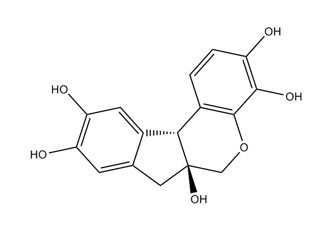 苏木素|517-28-2