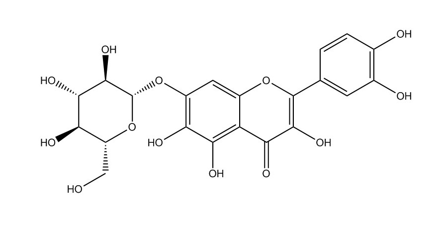 槲皮万寿菊素-7-O-β-吡喃葡萄糖苷|548-75-4