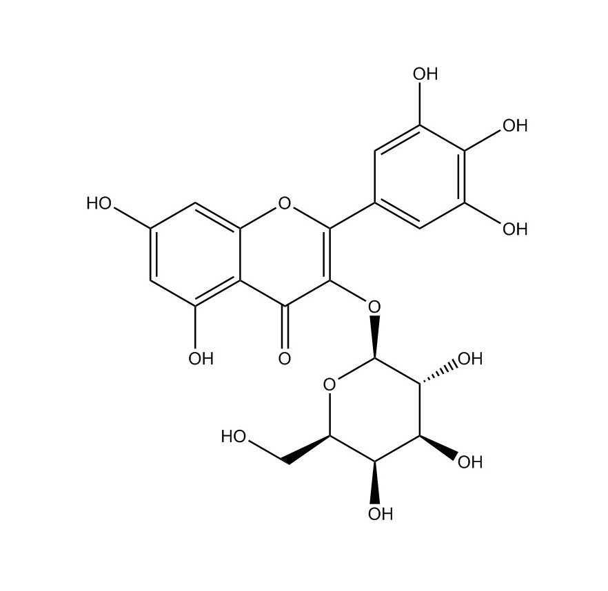 杨梅素-3-O-半乳糖苷|15648-86-9