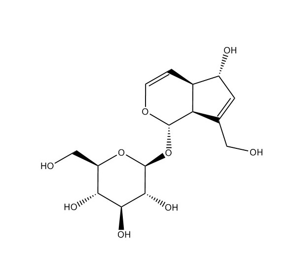 桃叶珊瑚苷|479-98-1