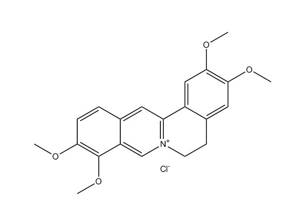 盐酸巴马汀|10605-02-4