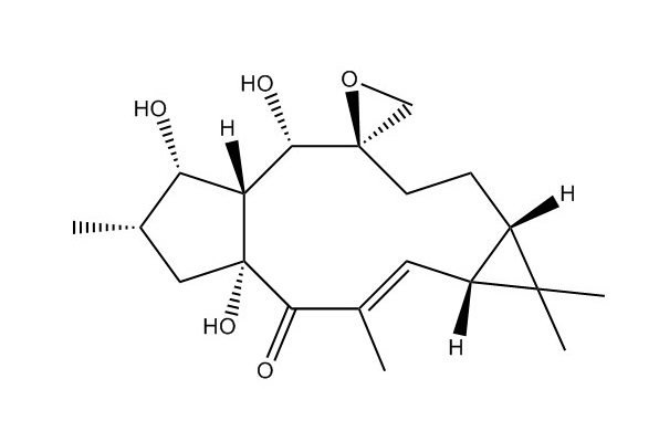环氧续随子醇|28649-60-7