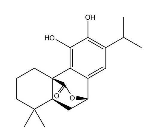 鼠尾草酚|5957-80-2