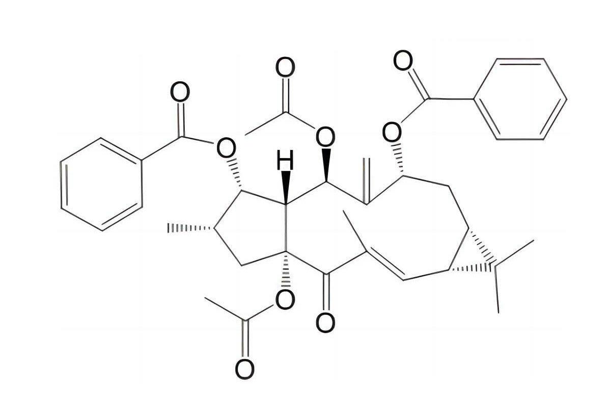 千金子素L2|218916-51-9