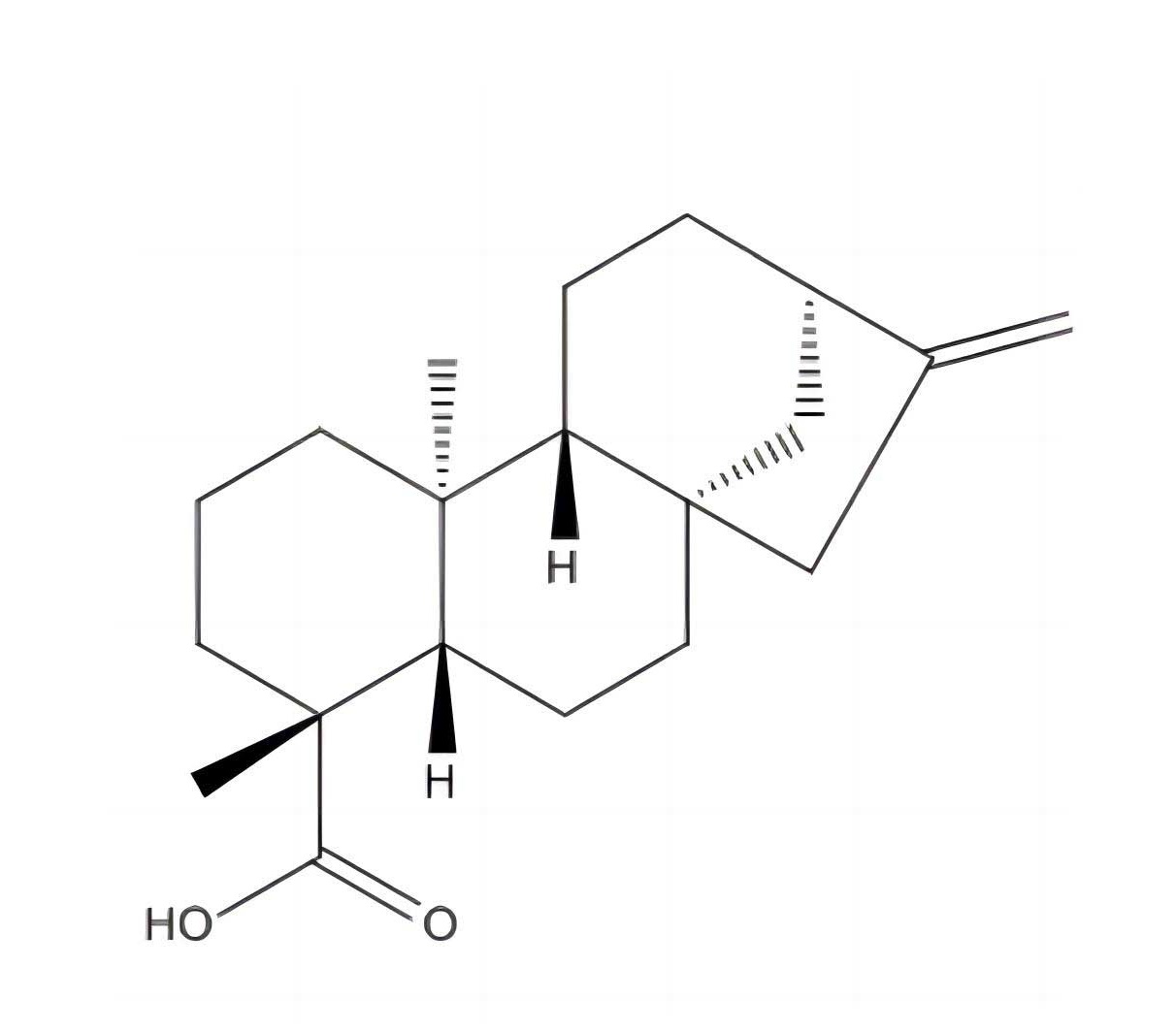 异贝壳杉烯酸|6730-83-2