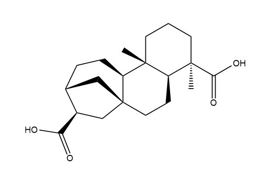 ENT-16βH-贝壳杉烷-17,19-二羧酸|60761-79-7