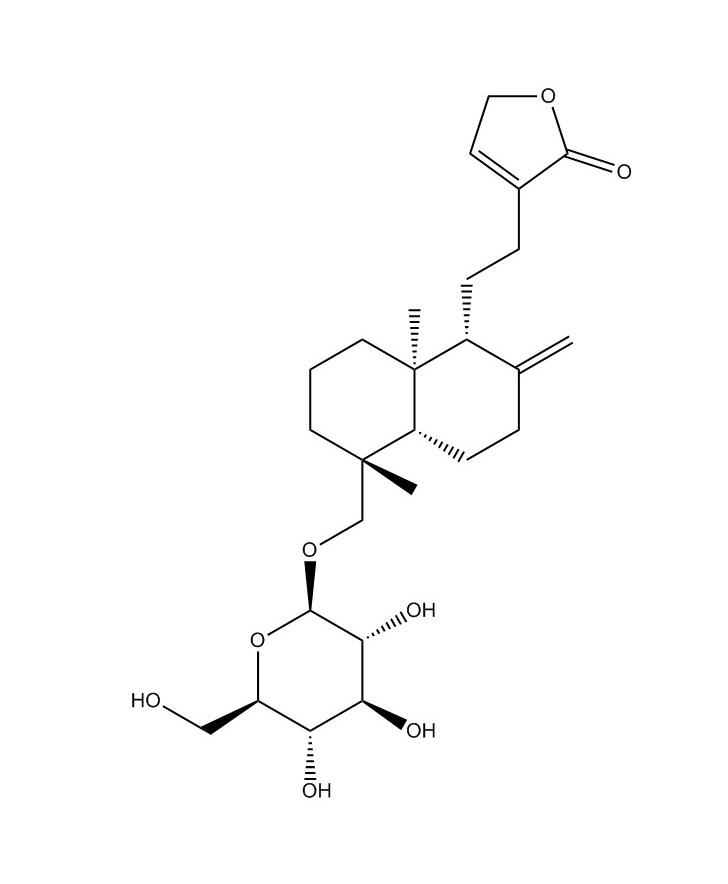 新穿心莲内酯|27215-14-1