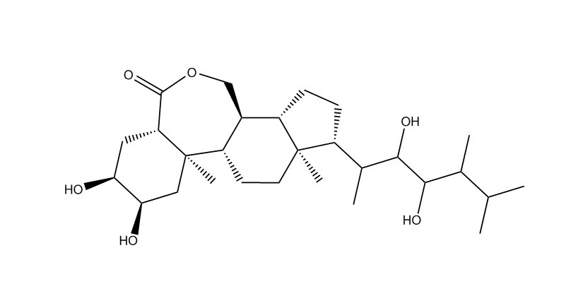 芸苔素内酯|72962-43-7