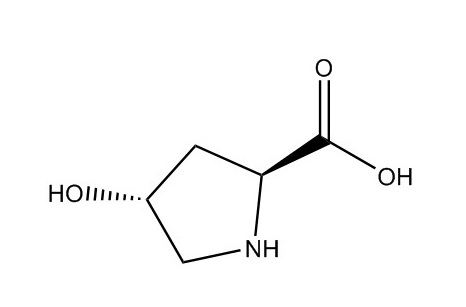 L-羟脯氨酸|51-35-4