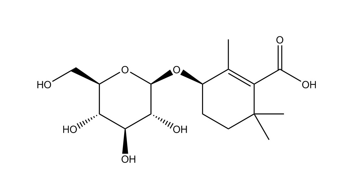 地黄苦苷|104056-82-8