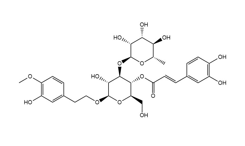 肉苁蓉苷C|120406-34-0