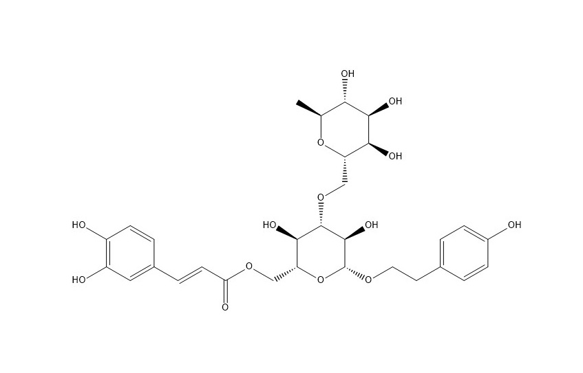 Kankanoside G|916479-72-6