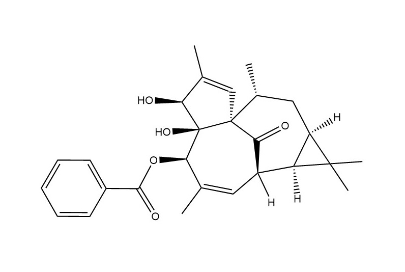 5-O-苯甲酰基-20-去氧巨大戟二萜醇|54706-97-7