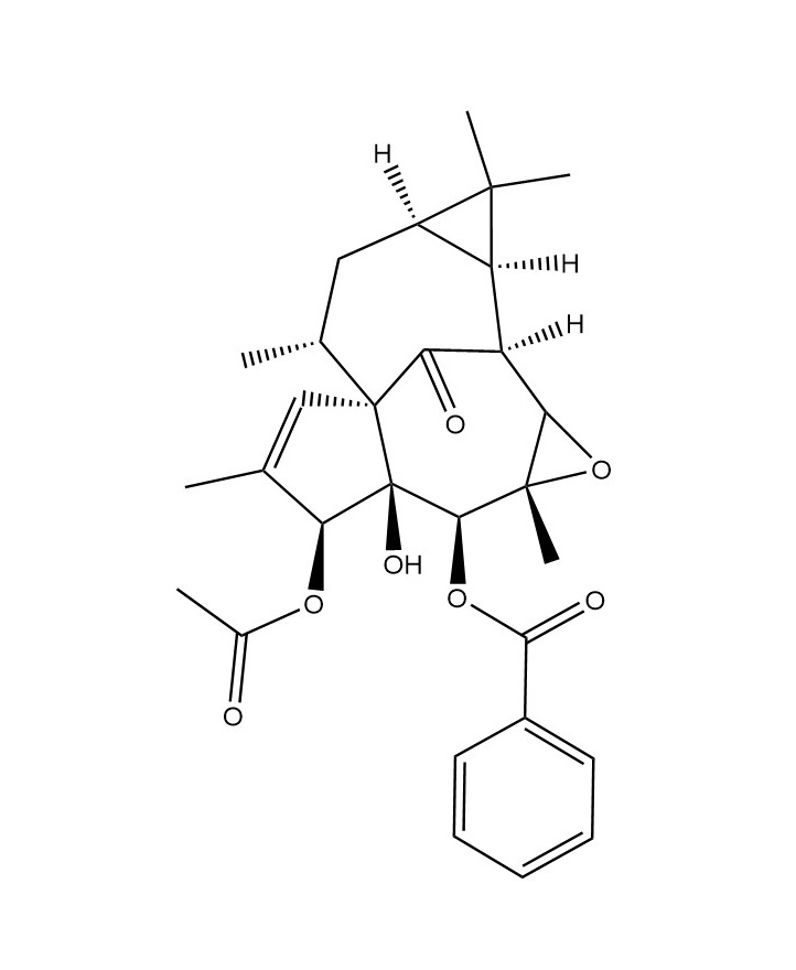 Euphorksol A